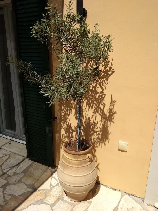 Eirini'S House Liapades Exterior foto